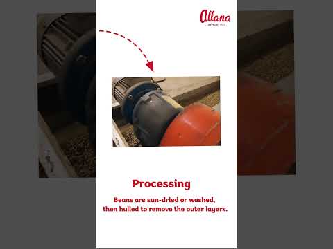 At Allana, every bean is a result of precision and care.