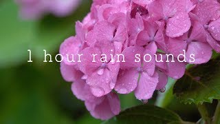 「花と太陽と雨と」イメージ・トラックス Water～for relaxing … 花と太陽と雨と」イメージ・トラックス Water～for relaxing t