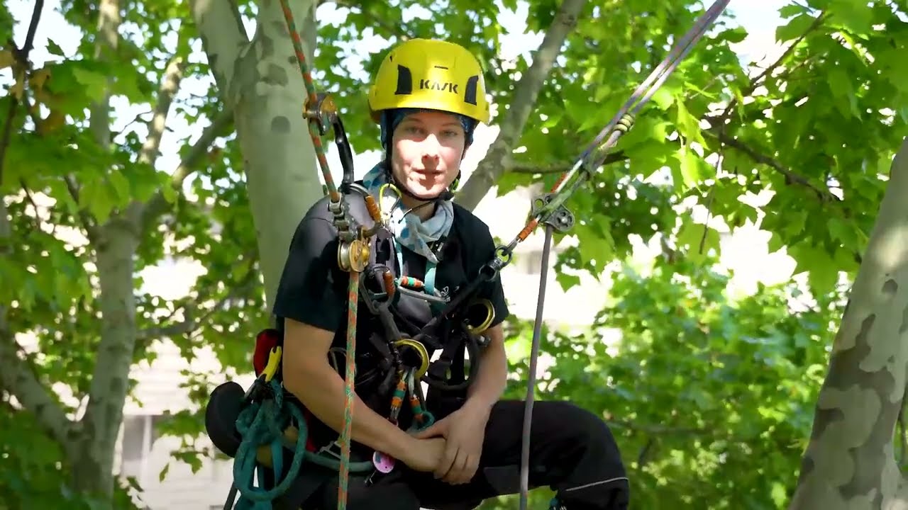 Le métier d'arboriste-élagueur à la Ville de Paris