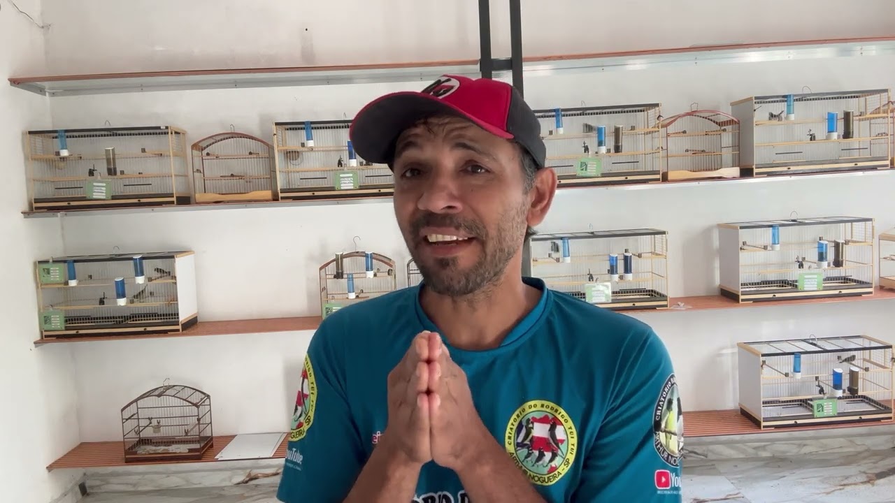 Cada ave tem seu manejo e vamos fala um pouco de cada.