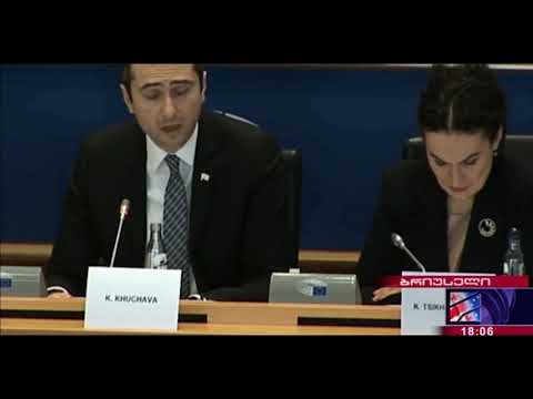თქვენ შეცდომაში ხართ შეყვანილი - კუჭავას პასუხი ევროპარლამენტარების კრიტიკაზე