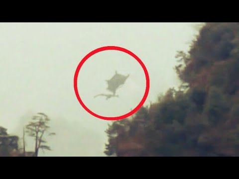 Video Cận cảnh rồng bay trên bầu trời cực khó tin - youtube