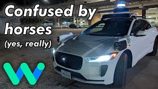 Waymo stumped by a parking lot + bonus horse weirdness | JJRicks Rides With Waymo #187