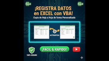Registrar Informacion en Excel con VBA por condición