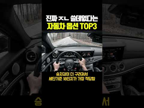 진짜 ㅈㄴ 쓸데없다는 자동차 <strong>옵션</strong> TOP3