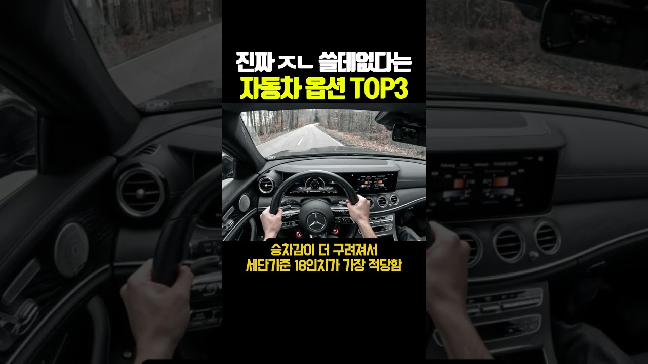 진짜 ㅈㄴ 쓸데없다는 자동차 옵션 TOP3 썸네일