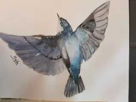 Bird dibujo tutorial (albatros)
