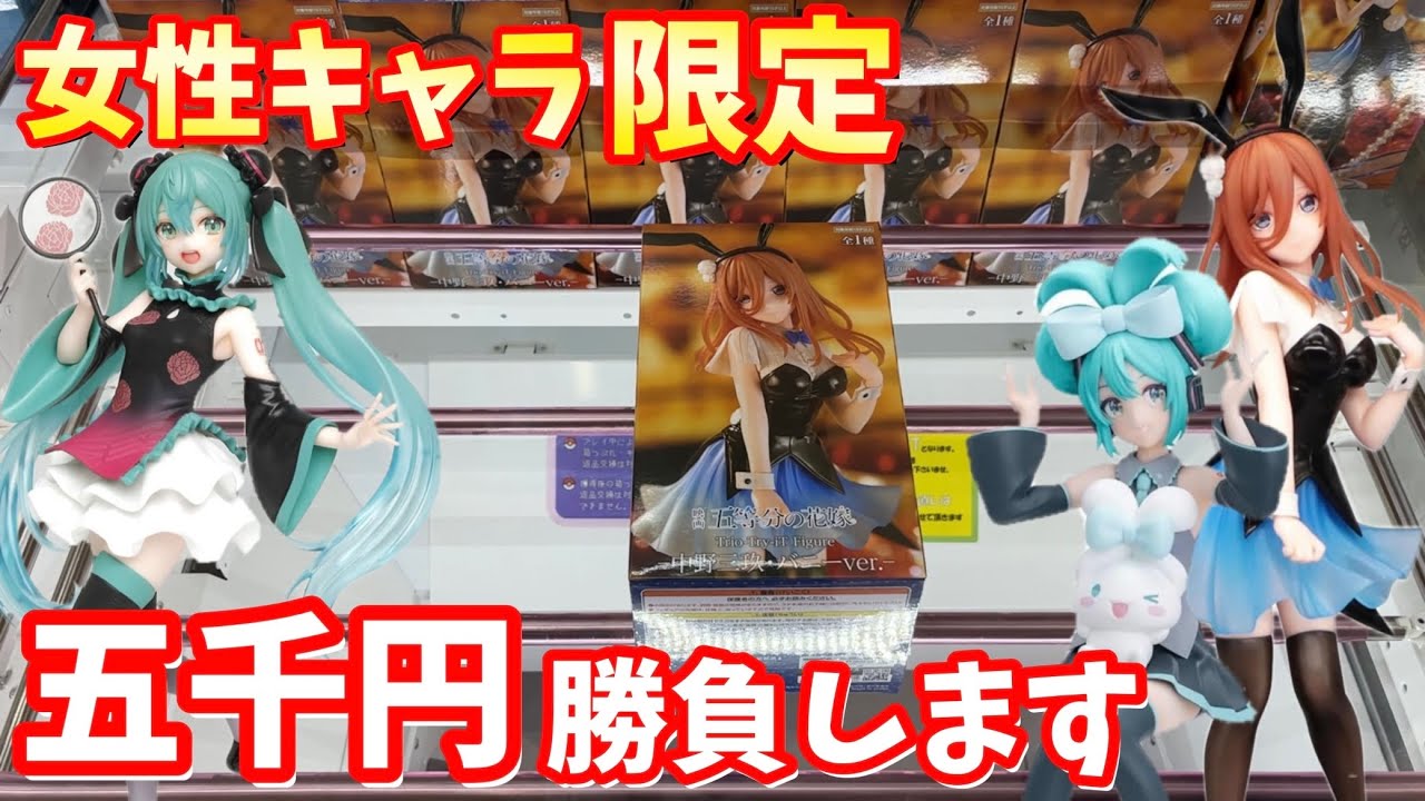 ③美少女フィギュア プライズフィギュア まとめ売り 20点 初音ミク ワンピース ③美少女フィギュア プライズフィギュア まとめ売り 20点 初音