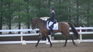 Will Coleman & OBOS O'Reilly Adv Dressage