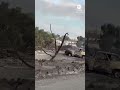 Hawk Fire brings destruction near Reno, Nevada
