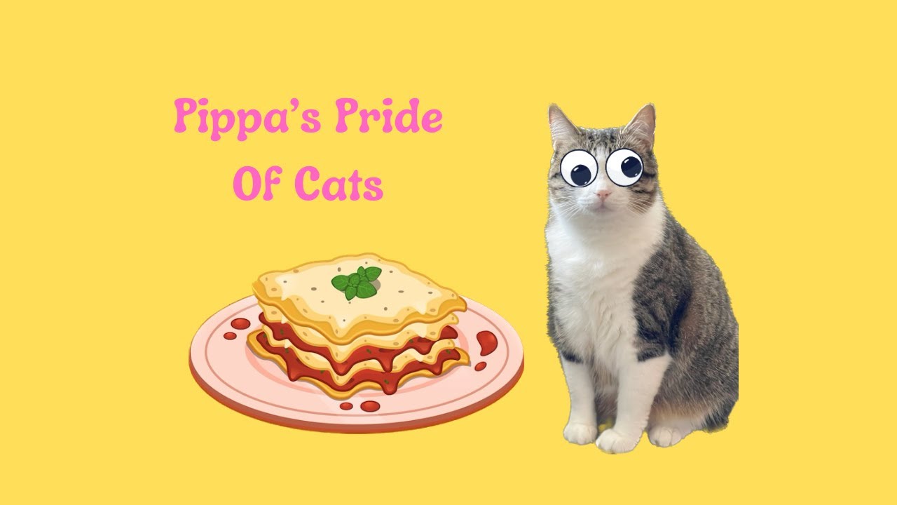 Let’s Talk About Our Cat's Nutrition