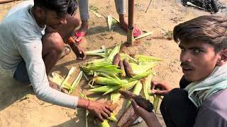 Vlog 1 | village || मक्का 🌽 | Tejendra Lodhi