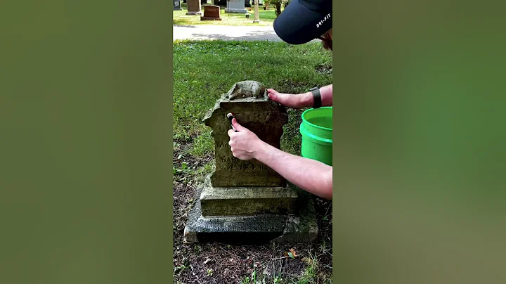 Cleaning the grave of Henry Simpson