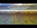 How to Get A Good White Balance for Landscape Photography