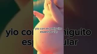 mi gatito plaga