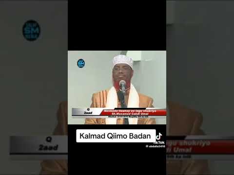 Asc Wacdigan An Wada Dhagesano Wacdi Qimo Badan Sheqena Qer Ilah Hasiyo