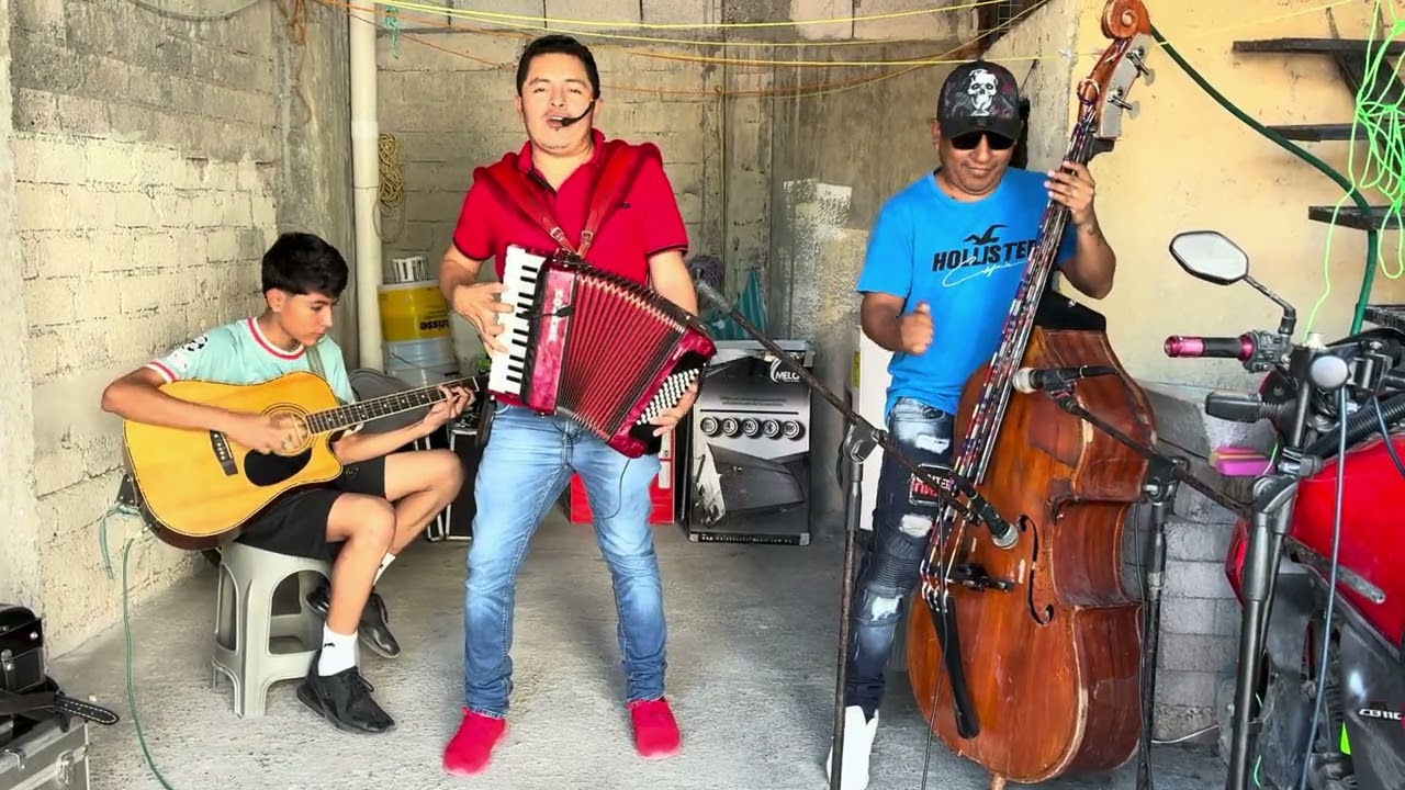 Festejaré mi cumpleaños (con tololoche)   Los Efectivos del Compa Borre 