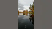 Рыбалка с охотой