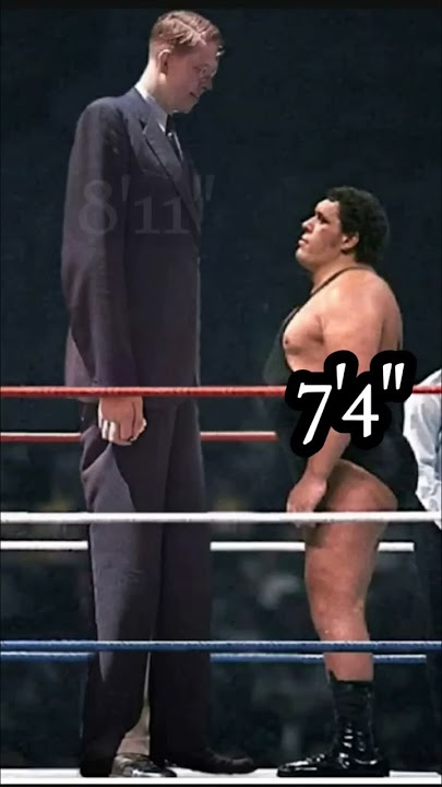ANDRE THE GIANT AND ROBERT WADLOW FACE TO FACE #shorts