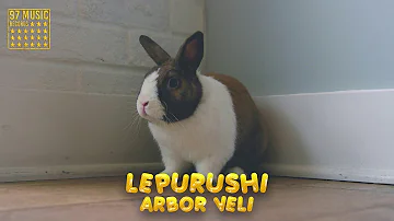 Arbor Veli - Lepurushi