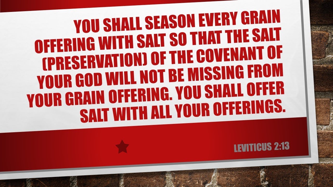Leviticus 2 Amplified Version Audio With Subtitles YouTube leviticus-2-amplified-version-audio-with-subtitles-youtube