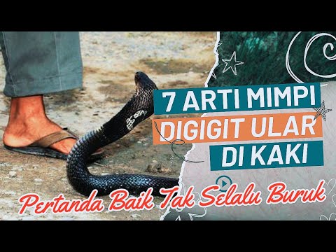 Ini Pertanda Baik Tak Selalu Buruk - 7 Arti Mimpi Digigit Ular Di Kaki