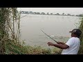 Best fishing video||Fisherman catching rohu fishes with hook||Rohu fishes catch in pond