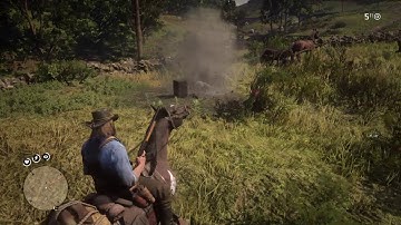 Red Dead Redemption 2 Random Event Safe