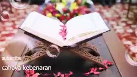 تلاوة خاشعة وراحة نفسية من الذكر  الحكيم