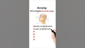 Scalp Nerve Supply