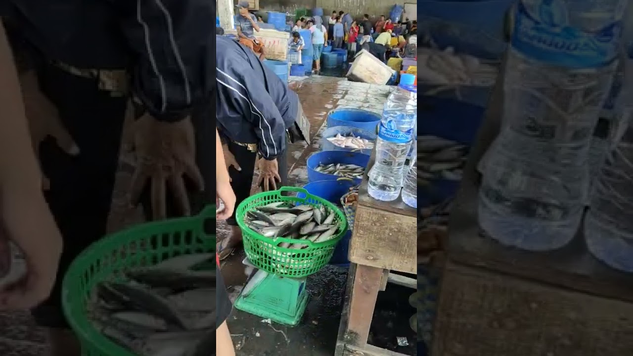 pasar ikan Belawan