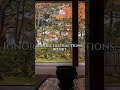 Rainy Veranda | engawa focus timer – 15 Seconds #shorts