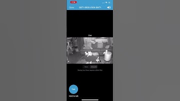 Elf on Shelf CAUGHT on blink cam