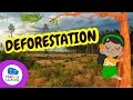 The Vital Role of Trees in Our Ecosystem