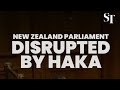 Newzealand court protest 🪧 with haka song