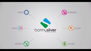 Bonny Silver Gümüş Çorap