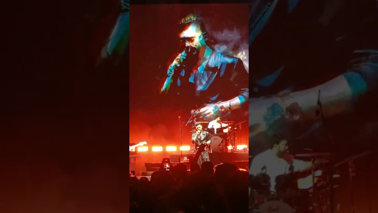 Sanam Puri concert 🎙️🎶