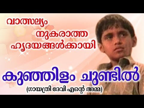     Evergreen Songs Malayalam    Old Malayalam Film Songs   Hits Of  PSuseela