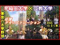 【応援団チアリーダー】早稲田大学VS立教大学/応援デモンストレーション/東京六大学野球秋季リーグ2023 .10. 5(木)