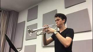 'Merry Go Round of Life ' from 'Howl's Moving Castle' - Trumpet Cover