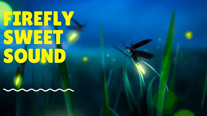 Firefly Sweet Sound