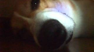 20090929 2127 ed91aa1cc0911b4c3b8b3fcf0aa194a8