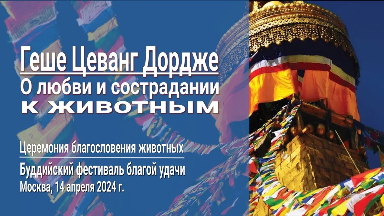 Геше Цеванг Дордже. О любви и сострадании к животным - YouTube