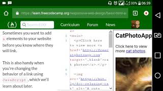 Basic HTML and HTML5 [part13]: Make Dead Links Using the Hash Symbol