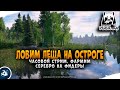 Русская Рыбалка 4 — Фарм серебра на Старом Остроге