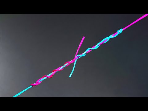 Izkušnja igranja na igralniški ploformi Fish Road RTP v Sloveniji