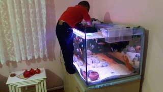 Mincir Balik Yakalıyor