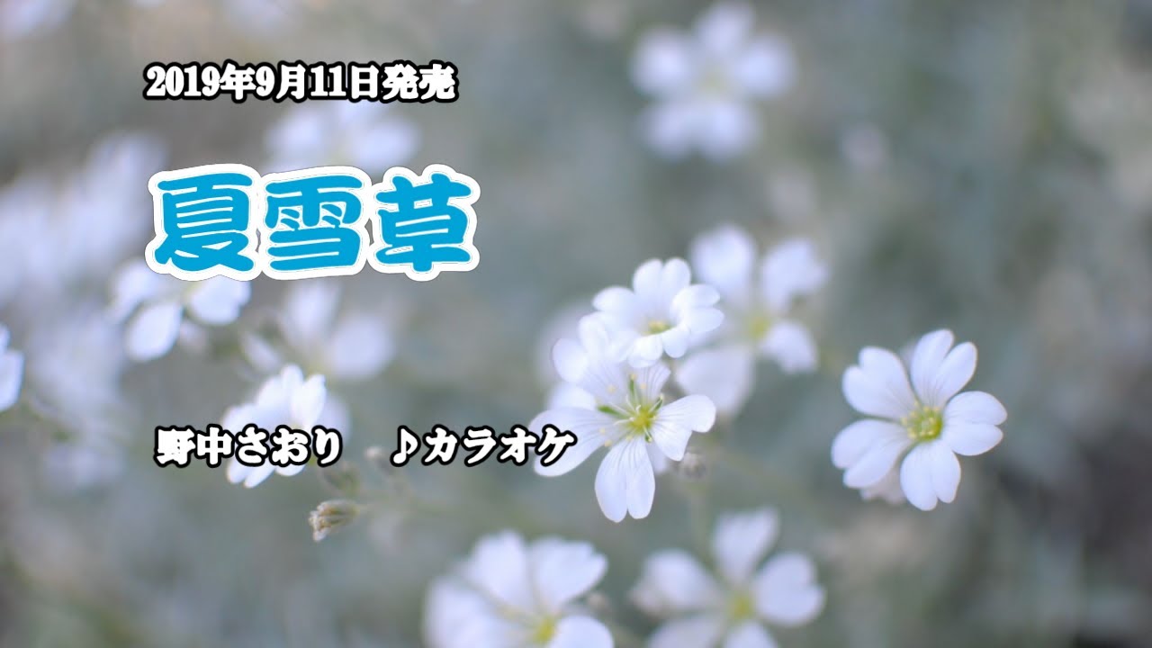 夏雪草 野中さおり カラオケ 19年9月11日発売 Youtube 夏雪草 野中さおり カラオケ 19年9月11日発売 Youtube