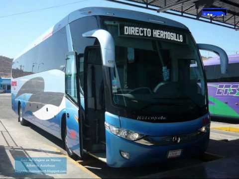 Albatros Autobuses y TBC - YouTube