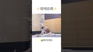 요가자세 튜토리얼⚘️ 파리브리타자누시르사아사나🫰🏾